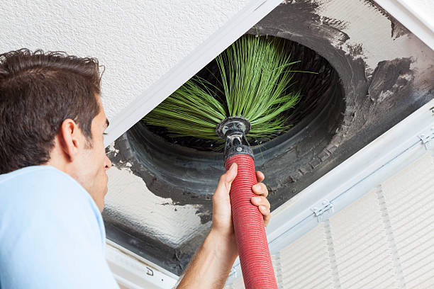 Best Dryer Vent Cleaning Services  in Eaton Estates, OH